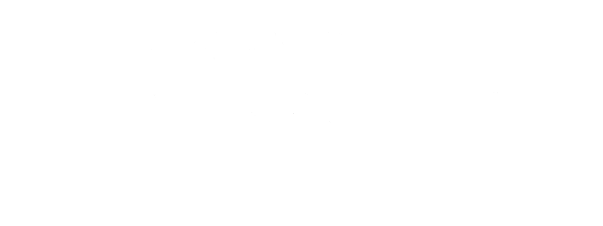 MISTER KLINNER